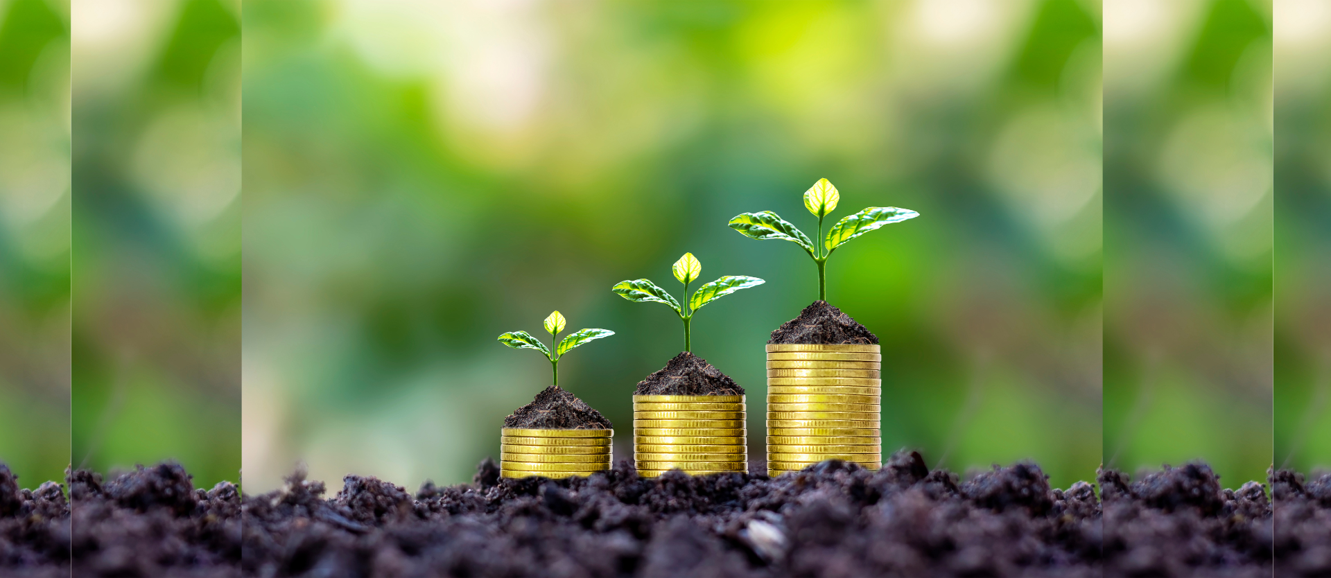 Liberdade financeira: Os Benefícios Transformadores de Controlar suas Finanças